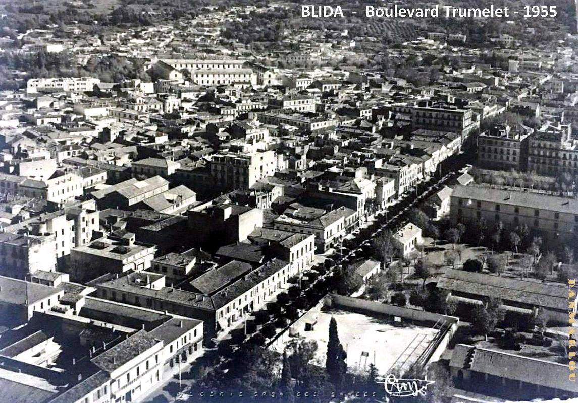 Blida - Boulevard Trumelet en 1955.jpg